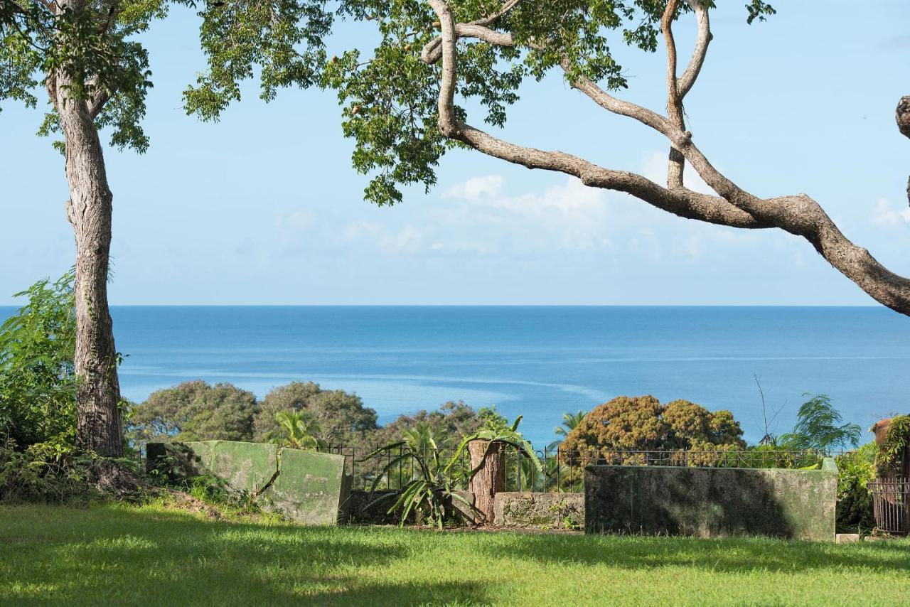 Colleton Great House Guest house 3*